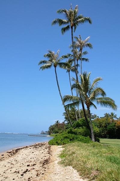 70_USA_Hawaii_Oahu_Maunalua_Bay.JPG