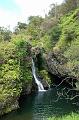 238_USA_Hawaii_Maui_The_Road_to_Hana