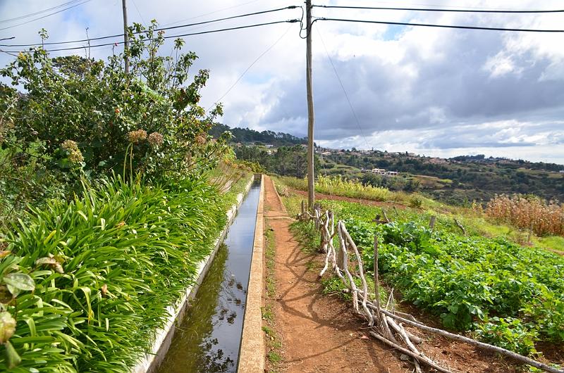 032_Portugal_Madeira.JPG