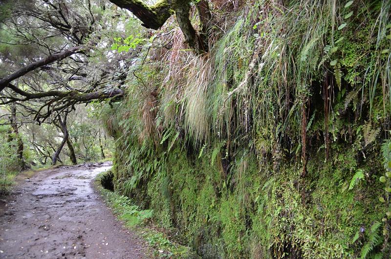 046_Portugal_Madeira.JPG