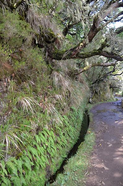 062_Portugal_Madeira.JPG