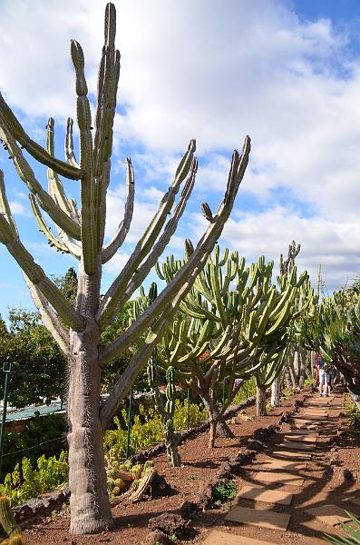 270_Portugal_Madeira_Funchal_Botanical_Garden.JPG