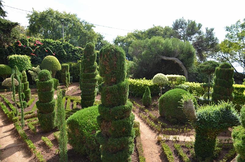 274_Portugal_Madeira_Funchal_Botanical_Garden.JPG
