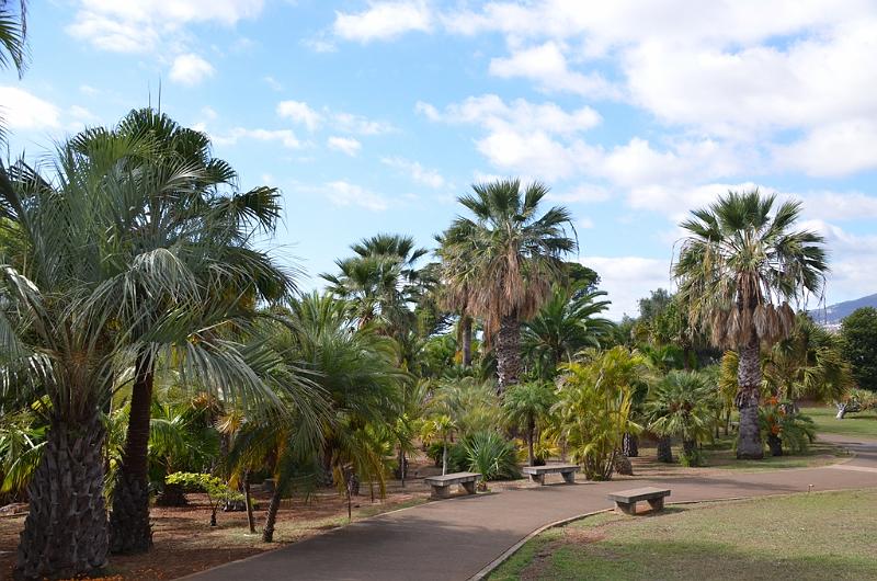 277_Portugal_Madeira_Funchal_Botanical_Garden.JPG