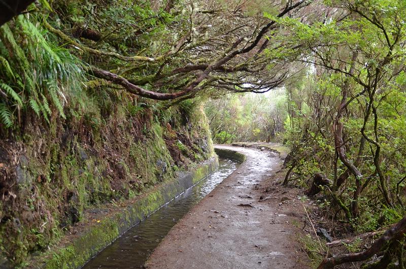 284_Portugal_Madeira.JPG