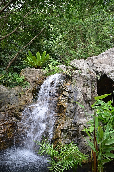 182_Singapore_Botanic_Gardens.JPG