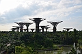 022_Singapore_Gardens_by_the_Bay