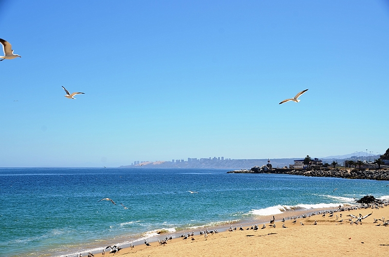 145_Chile_Vina_del_Mar.JPG