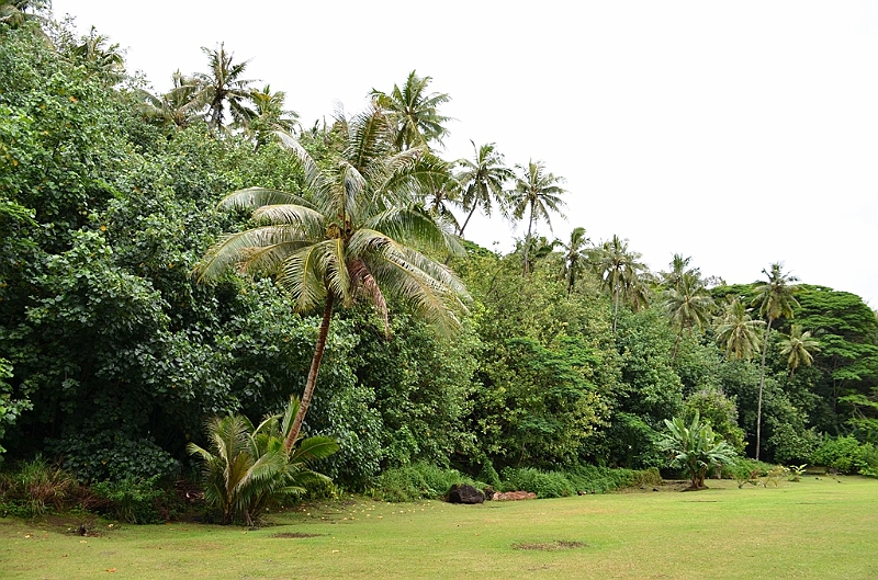169_French_Polynesia_Gambier_Islands_Aukena.JPG