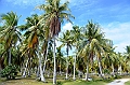 028_French_Polynesia_Fakarava