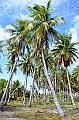 031_French_Polynesia_Fakarava