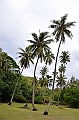 172_French_Polynesia_Gambier_Islands_Aukena