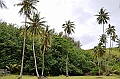 176_French_Polynesia_Gambier_Islands_Aukena