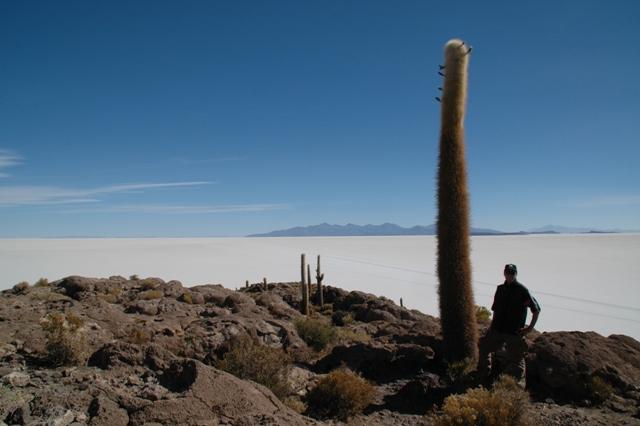 441_Bolivien_Salar_de_Uyuni_Isla_del_Pescado_Privat.JPG