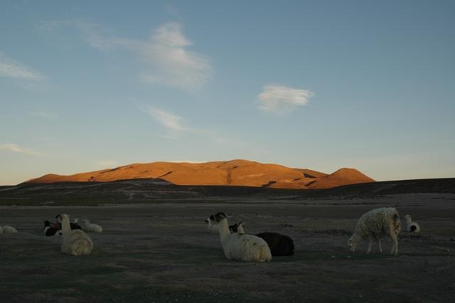 453_Bolivien_Chuvica_Sunset.JPG