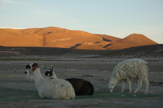 454_Bolivien_Chuvica_Sunset.JPG