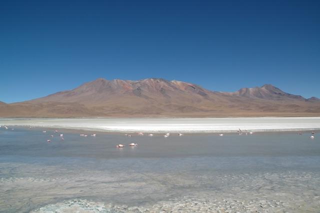 474_Bolivien_Altiplano_Landscap.JPG