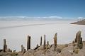 435_Bolivien_Salar_de_Uyuni_Isla_del_Pescado