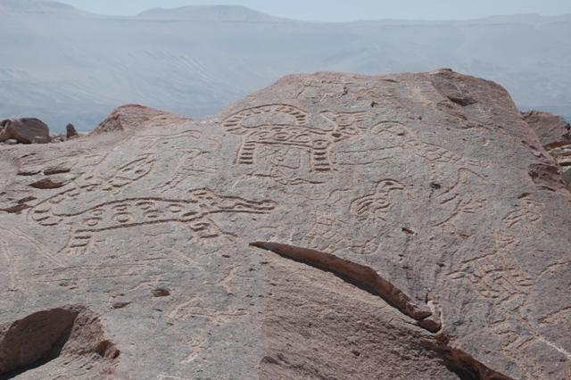 113_Peru_Petroglyphen_in_Toro_Muerto.JPG