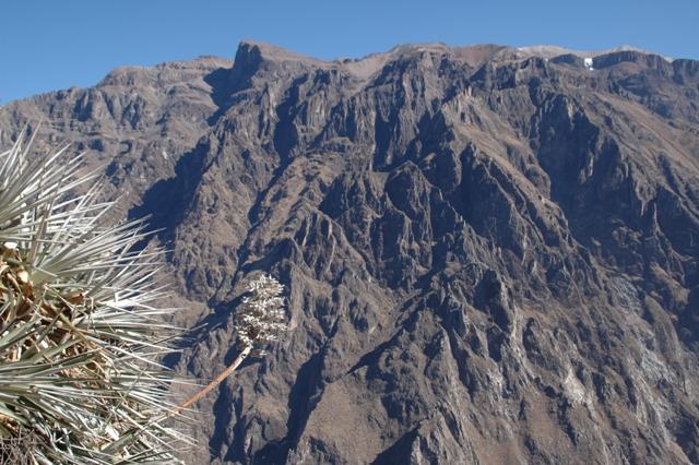 133_Peru_Colca_Tal_Cruz_del_Condor.JPG