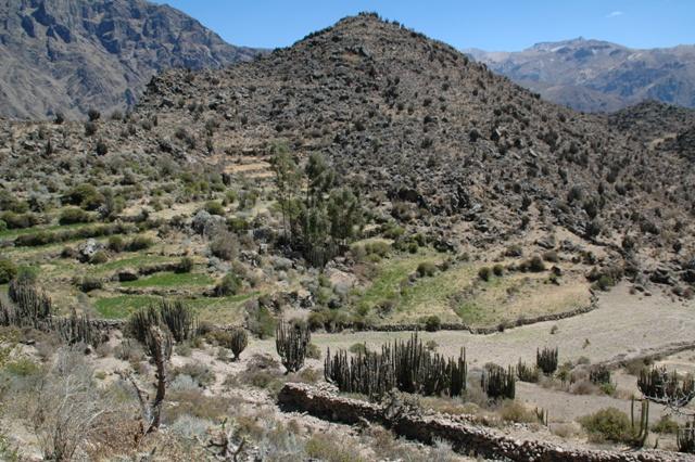 139_Peru_Colca_Tal.JPG