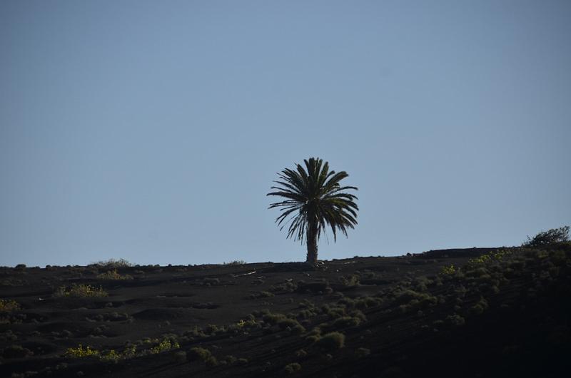 011_Kanaren_Lanzarote_Timanfaya_Nationalpark.JPG