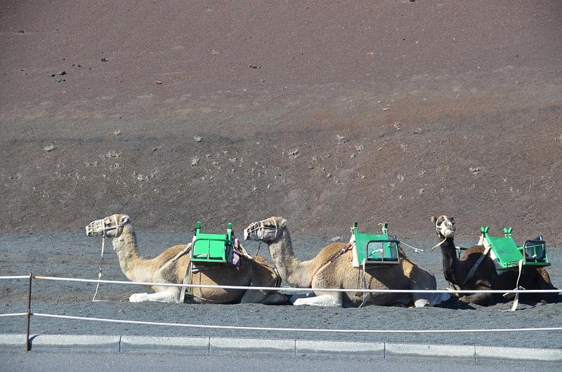 043_Kanaren_Lanzarote_Timanfaya_Nationalpark.JPG