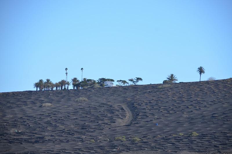 046_Kanaren_Lanzarote.JPG