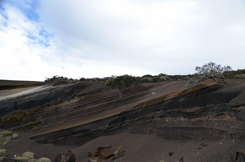 061_Kanaren_Teneriffa_El_Teide_Nationalpark .JPG