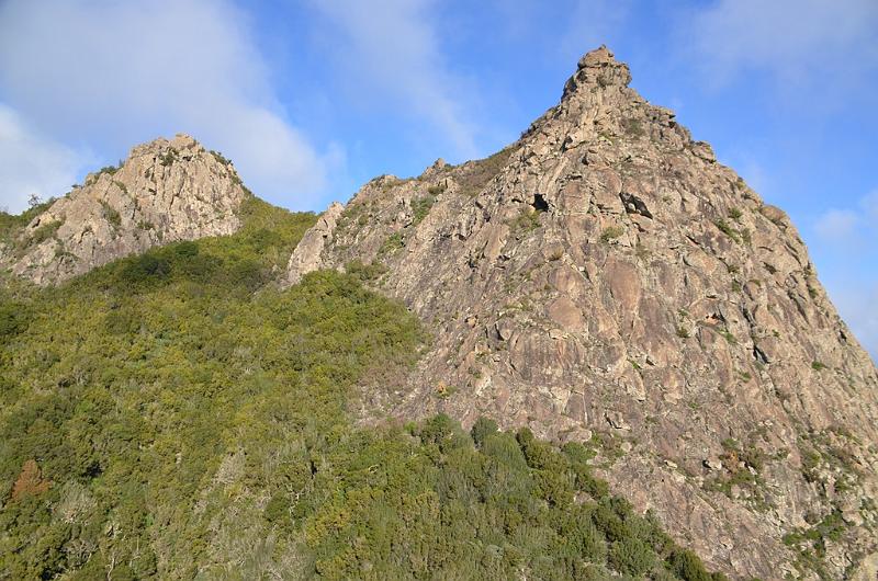 135_Kanaren_La_Gomera_Garajonay_Nationalpark.JPG