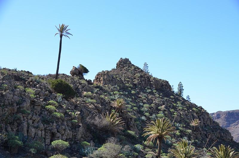 170_Kanaren_La_Gomera.JPG