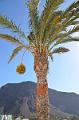 156_Kanaren_La_Gomera_Playa_de_la_Calera
