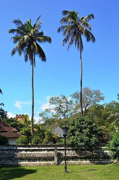 311_Sri_Lanka_Kandy_Temple_of_the_Sacred_Tooth.JPG