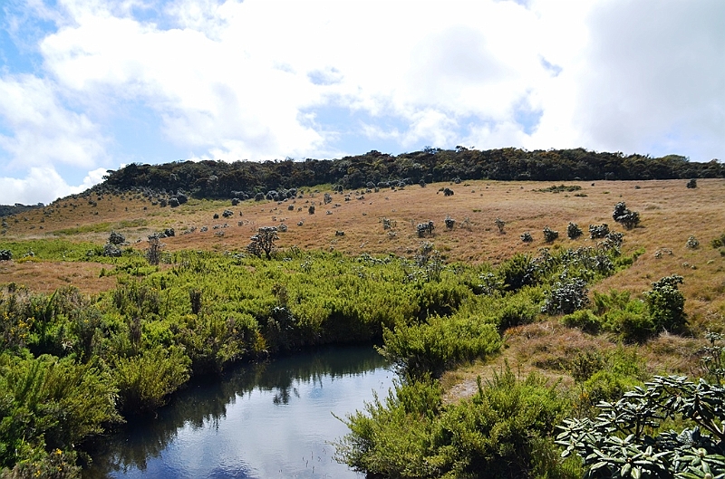 407_Sri_Lanka_Horton_Plains_NP.JPG