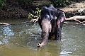 130_Sri_Lanka_Giritale