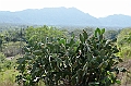 205_Sri_Lanka_Dambulla