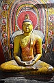 208_Sri_Lanka_Dambulla
