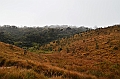 384_Sri_Lanka_Horton_Plains_NP
