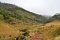 390_Sri_Lanka_Horton_Plains_NP
