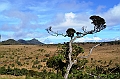 403_Sri_Lanka_Horton_Plains_NP
