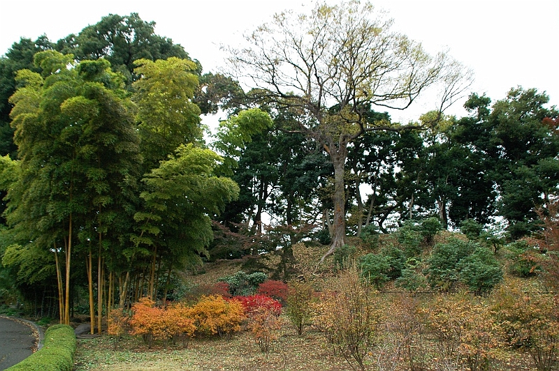 044_Tokyo_Imperial_Palace_Gardens.JPG