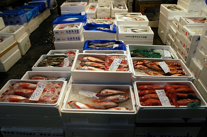 107_Tokyo_Fishmarket.JPG
