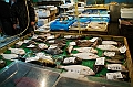 122_Tokyo_Fishmarket