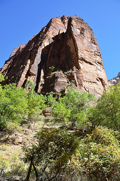 034_USA_Zion_National_Park.JPG