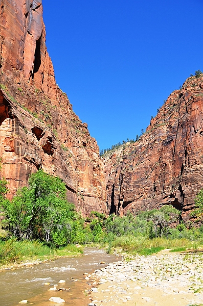 035_USA_Zion_National_Park.JPG