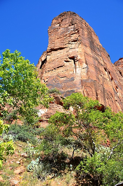 041_USA_Zion_National_Park.JPG
