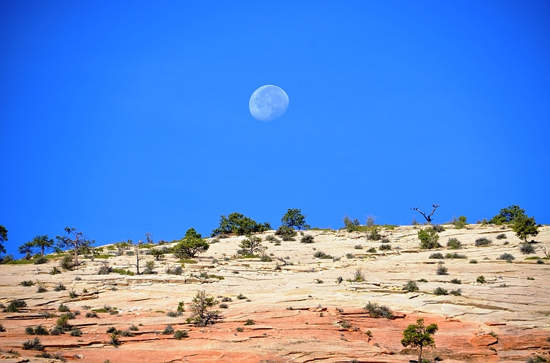 073_USA_Zion_National_Park.JPG