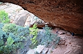 057_USA_Zion_National_Park