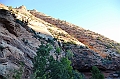058_USA_Zion_National_Park