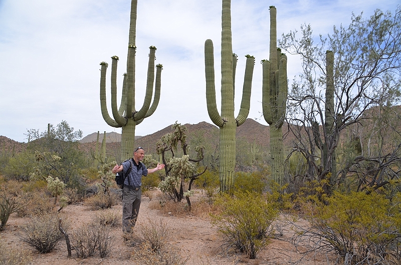 042_USA_Saguaro_National_Park_Privat.JPG